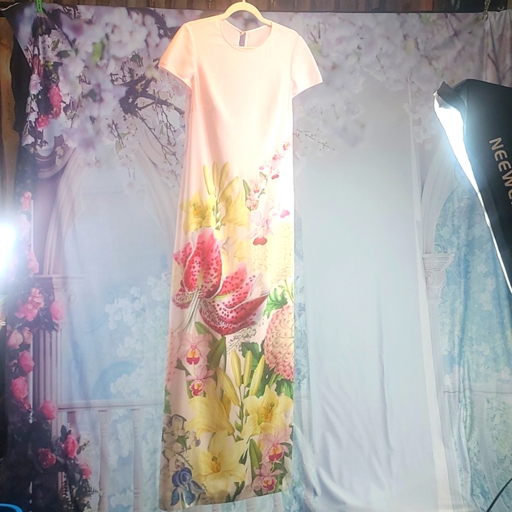 Ted Baker long dress.  TB2